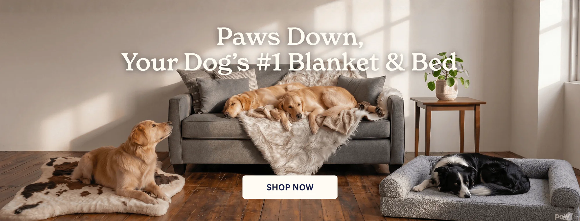 Elevated Comfort for Modern Dogs